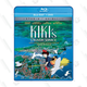 Image for article titled Throw the Perfect At-Home Movie Night With These 4K UHD—and Regular HD—Blu-rays